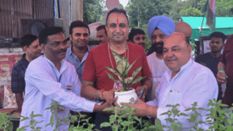 In the name of patriotism, only the nursery was looted
