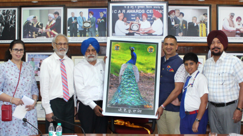 punjab-politics-crime-educational-news