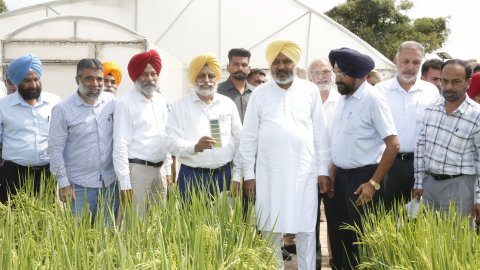 Punjab-politics-crime-educational-news