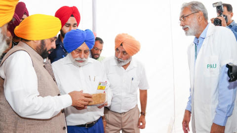 politics-crime-education-news-punjab