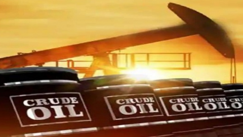 politics-crime-education-news-punjab