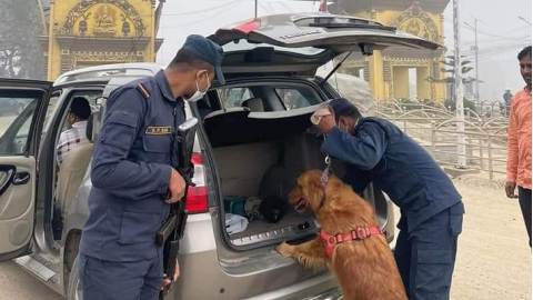 politics-crime-education-news-punjab