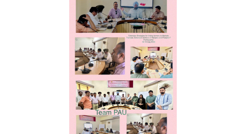 Extension Strategies for Linking Farmers to Markets