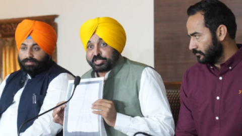 Chief-Minister-Bhagwant-Mann-Has-Nothing-To-Do-With-The-Chief-Minister-Of-Haryana-no-Stake-Will-Be-Given-In-Punjab-University-