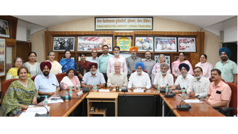Pau-And-There-Was-A-Dialogue-Between-The-International-Agricultural-Research-Center-Of-Australia