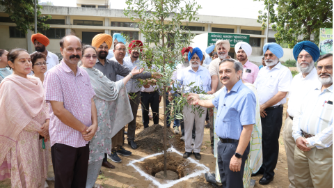 Pau-The-Tree-Planting-Campaign-Started-From-The-Botanical-Garden