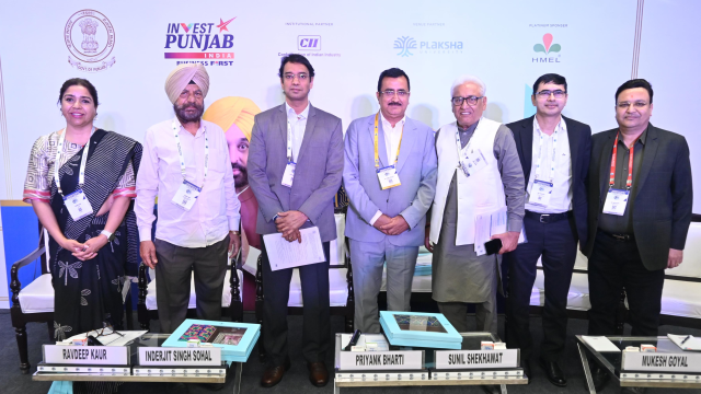 progressive-punjab-investor-summ