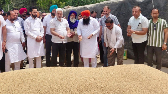 out-of-28-lmt-wheat-arrival-in-m