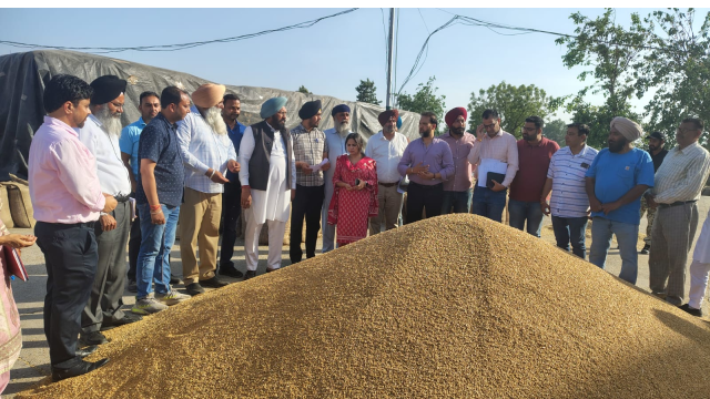 punjab-government-committed-to-p