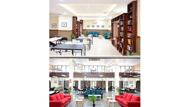 -libraries-are-helping-recoverin