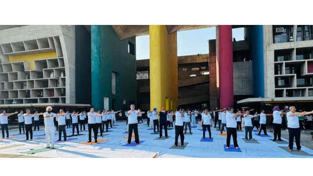 -international-day-of-yoga-celebrated-at-punjab-haryana-high-court-with-focus-on-yoga-for-healthy-ageing-