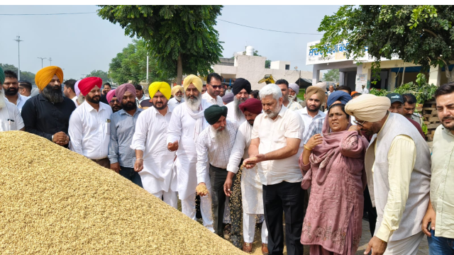 8-50-lakh-metric-tonnes-of-paddy-arrived-in-punjab-grain-markets-so-far-cabinet-minister-lal-chand-kataruchak