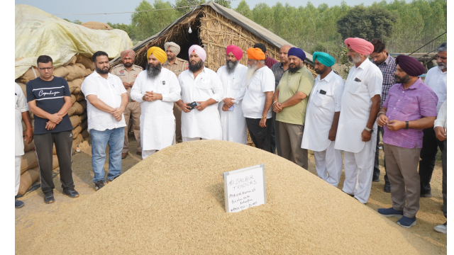 mann-government-committed-to-pur